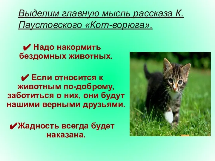 Выделим главную мысль рассказа К. Паустовского «Кот-ворюга». Надо накормить бездомных животных.