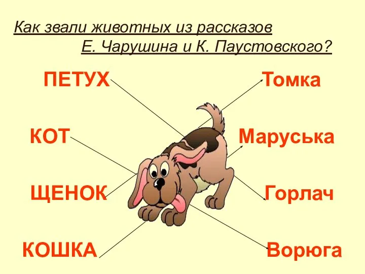 Как звали животных из рассказов Е. Чарушина и К. Паустовского? ПЕТУХ