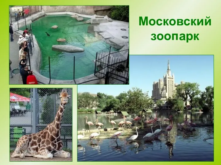 Московский зоопарк