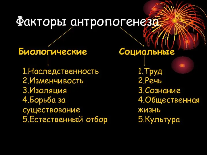 Факторы антропогенеза. Биологические Социальные 1.Наследственность 2.Изменчивость 3.Изоляция 4.Борьба за существование 5.Естественный