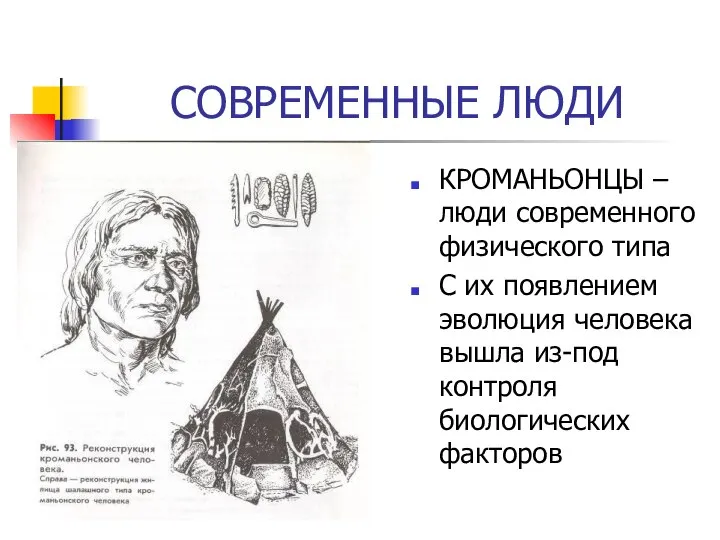 СОВРЕМЕННЫЕ ЛЮДИ КРОМАНЬОНЦЫ – люди современного физического типа С их появлением