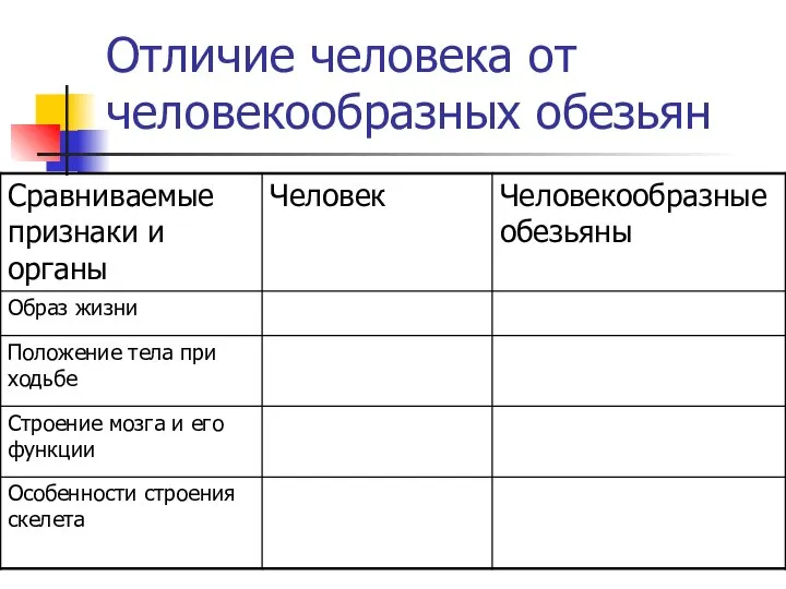 Отличие человека от человекообразных обезьян