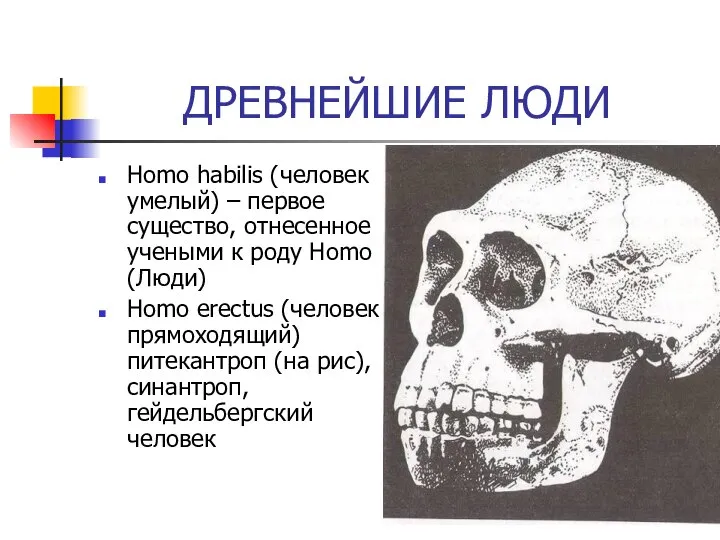 ДРЕВНЕЙШИЕ ЛЮДИ Homo habilis (человек умелый) – первое существо, отнесенное учеными