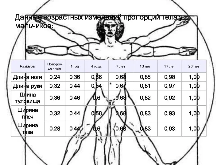Данные возрастных изменений пропорций тела у мальчиков: