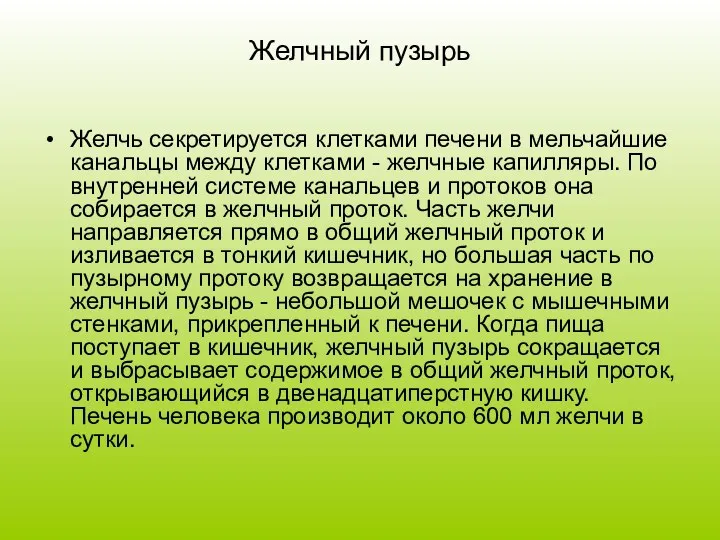 Желчный пузырь Желчь секретируется клетками печени в мельчайшие канальцы между клетками