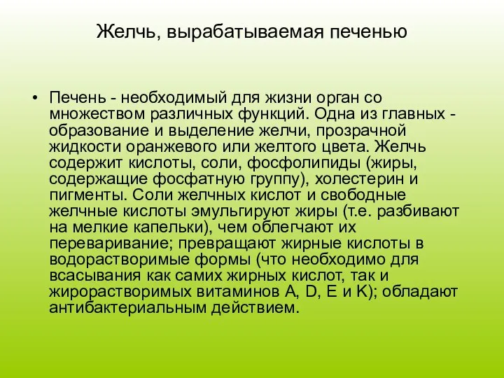 Желчь, вырабатываемая печенью Печень - необходимый для жизни орган со множеством