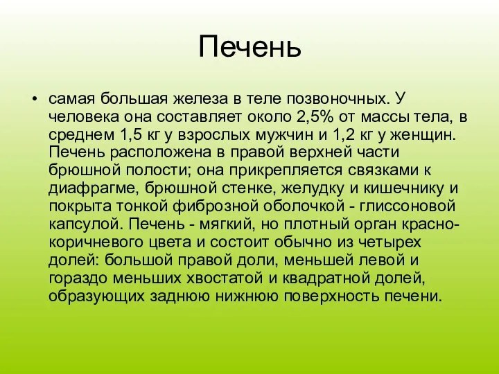 Печень самая большая железа в теле позвоночных. У человека она составляет