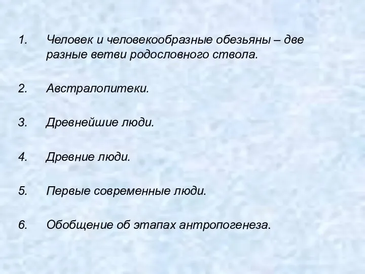 Человек и человекообразные обезьяны – две разные ветви родословного ствола. Австралопитеки.