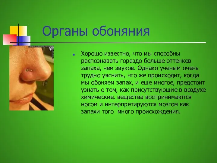 Органы обоняния Хорошо известно, что мы способны распознавать гораздо больше оттенков