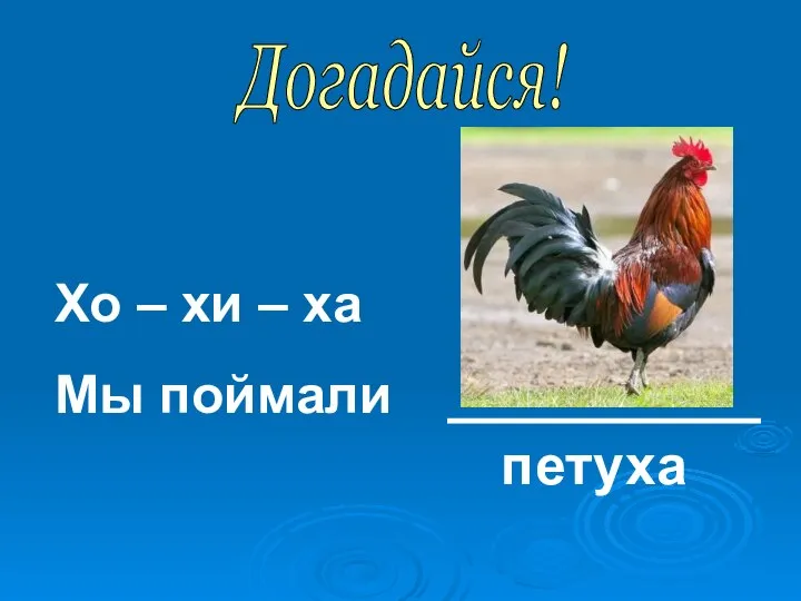 Догадайся! Хо – хи – ха Мы поймали петуха