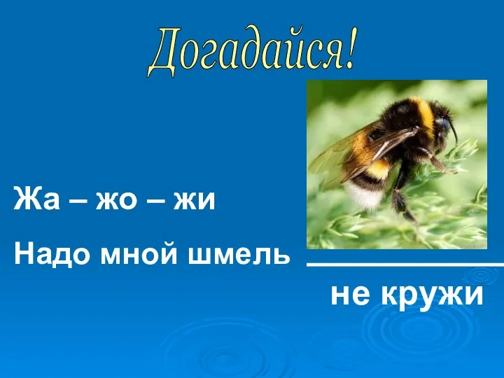 Догадайся! Жа – жо – жи Надо мной шмель не кружи