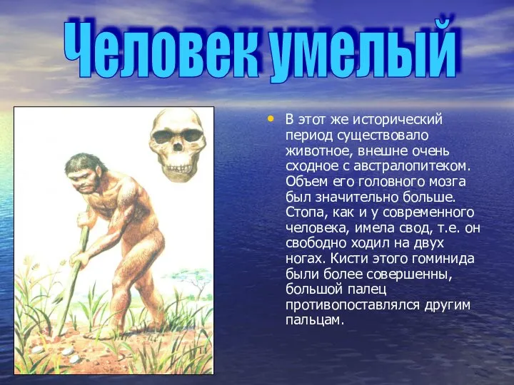 В этот же исторический период существовало животное, внешне очень сходное с