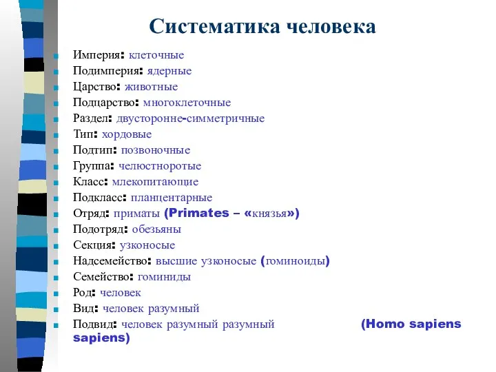 Систематика человека Империя: клеточные Подимперия: ядерные Царство: животные Подцарство: многоклеточные Раздел: