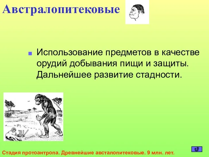 Использование предметов в качестве орудий добывания пищи и защиты. Дальнейшее развитие