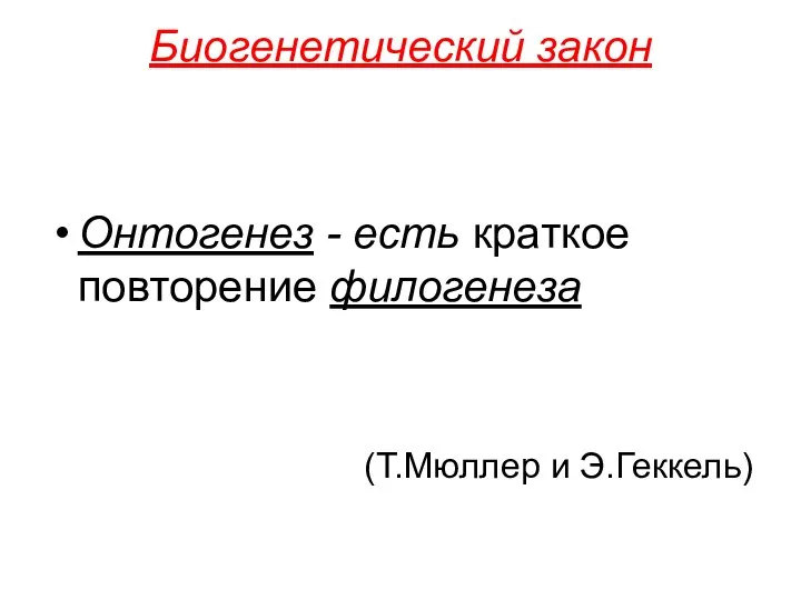 Биогенетический закон Онтогенез - есть краткое повторение филогенеза (Т.Мюллер и Э.Геккель)