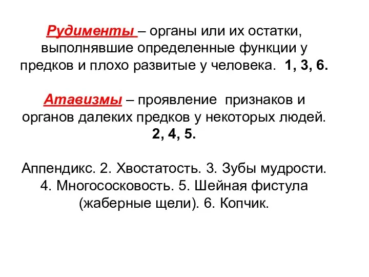 Рудименты – органы или их остатки, выполнявшие определенные функции у предков