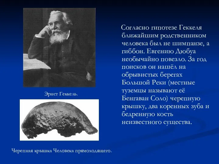 Согласно гипотезе Геккеля ближайшим родственником человека был не шимпанзе, а гиббон.