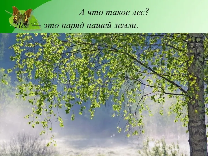 А что такое лес? Лес — это наряд нашей земли.