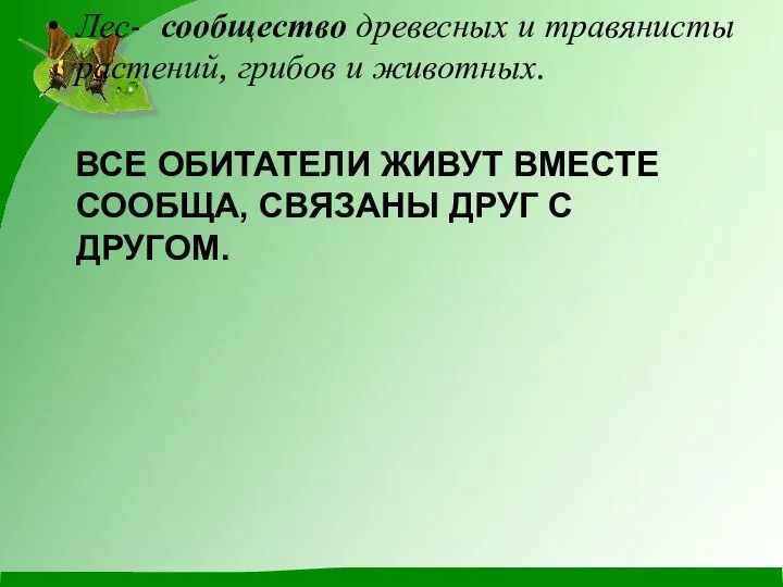 Лес- сообщество древесных и травянисты растений, грибов и животных. ВСЕ ОБИТАТЕЛИ