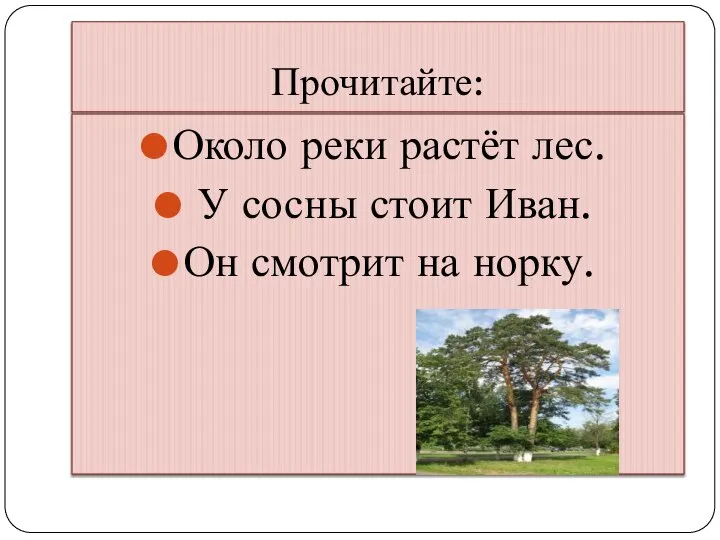 Прочитайте: Около реки растёт лес. У сосны стоит Иван. Он смотрит на норку.