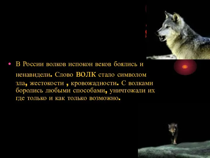 В России волков испокон веков боялись и ненавидели. Слово волк стало