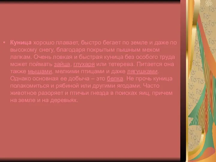 Куница хорошо плавает, быстро бегает по земле и даже по высокому