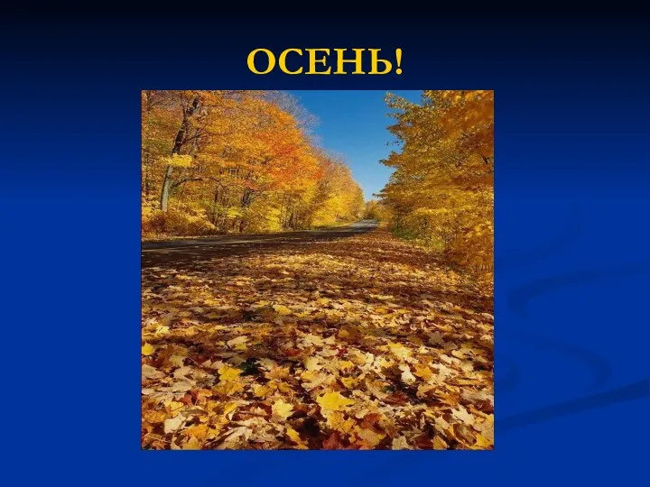 ОСЕНЬ!