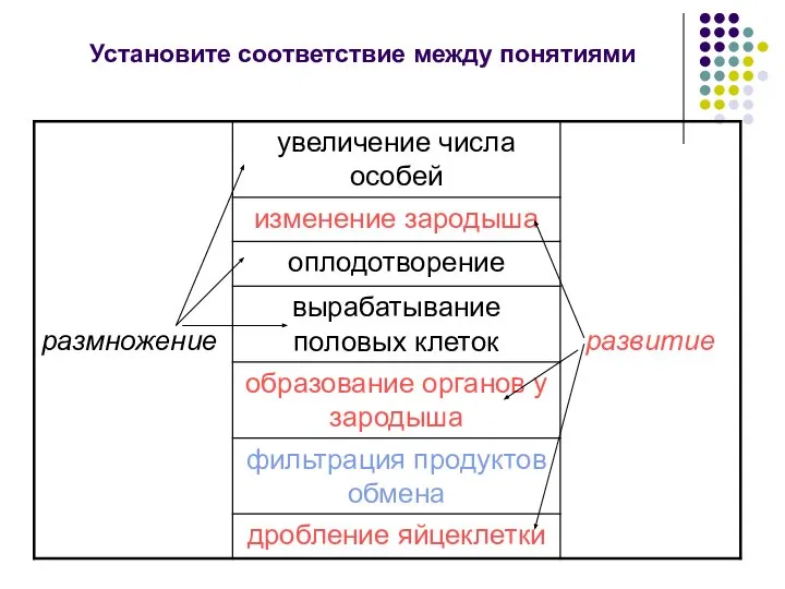 Установите соответствие между понятиями