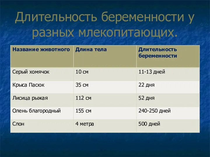 Длительность беременности у разных млекопитающих.