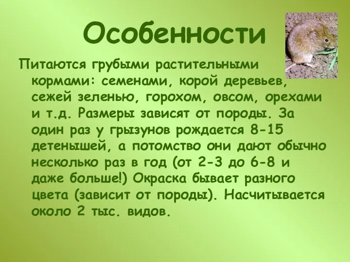 Особенности Питаются грубыми растительными кормами: семенами, корой деревьев, сежей зеленью, горохом,