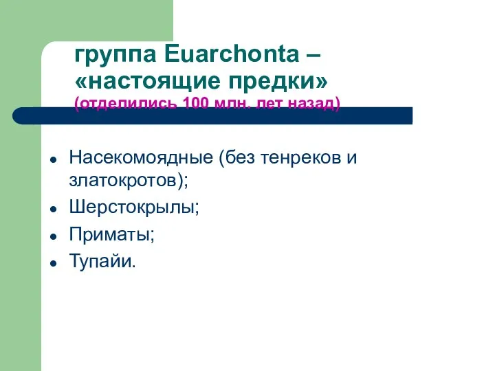 группа Euarchonta – «настоящие предки» (отделились 100 млн. лет назад) Насекомоядные