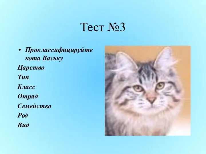 Тест №3 Проклассифицируйте кота Ваську Царство Тип Класс Отряд Семейство Род Вид