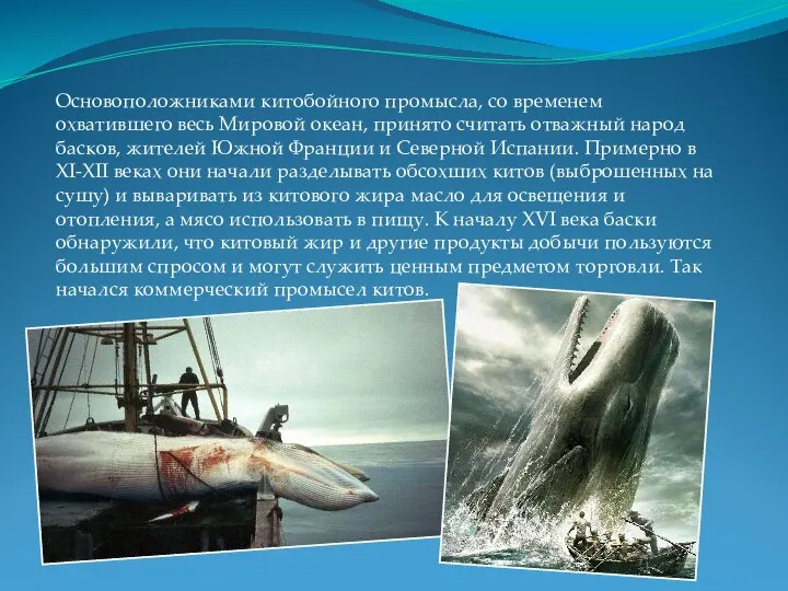 Основоположниками китобойного промысла, со временем охватившего весь Мировой океан, принято считать