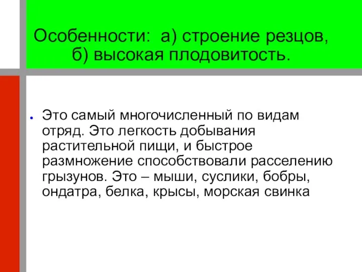 Особенности: а) строение резцов, б) высокая плодовитость. Это самый многочисленный по