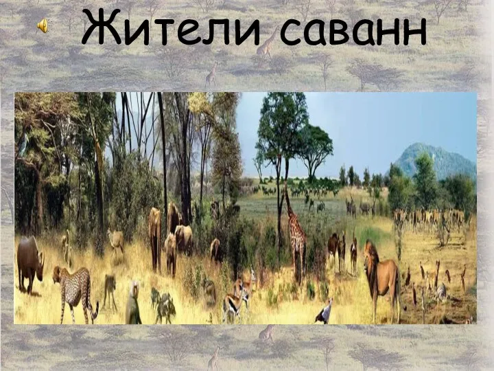 Жители саванн