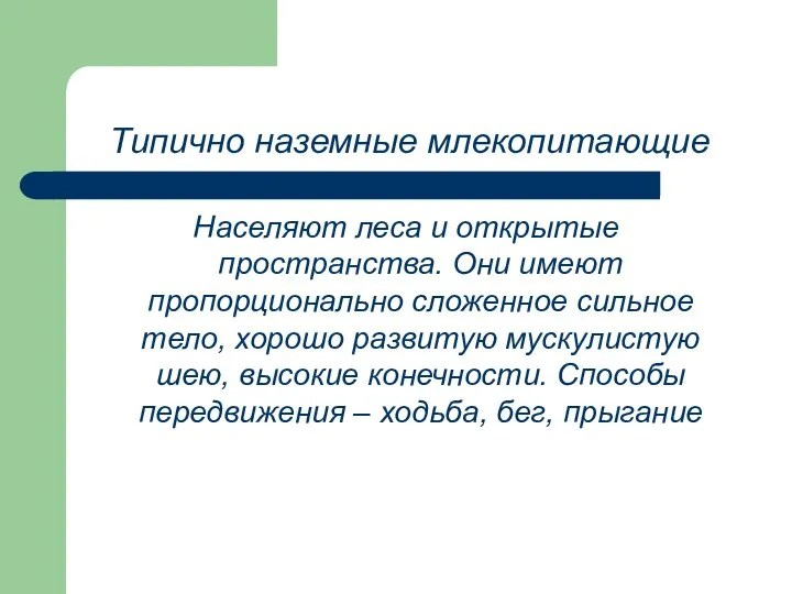 Типично наземные млекопитающие Населяют леса и открытые пространства. Они имеют пропорционально