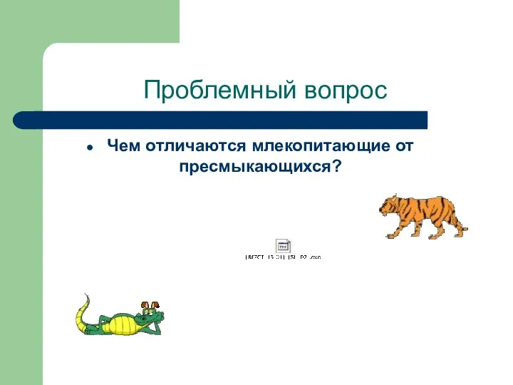 Проблемный вопрос Чем отличаются млекопитающие от пресмыкающихся?