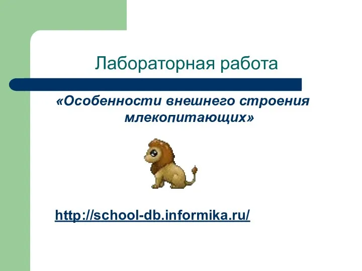 Лабораторная работа «Особенности внешнего строения млекопитающих» http://school-db.informika.ru/