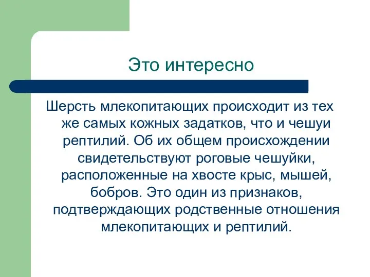 Это интересно Шерсть млекопитающих происходит из тех же самых кожных задатков,