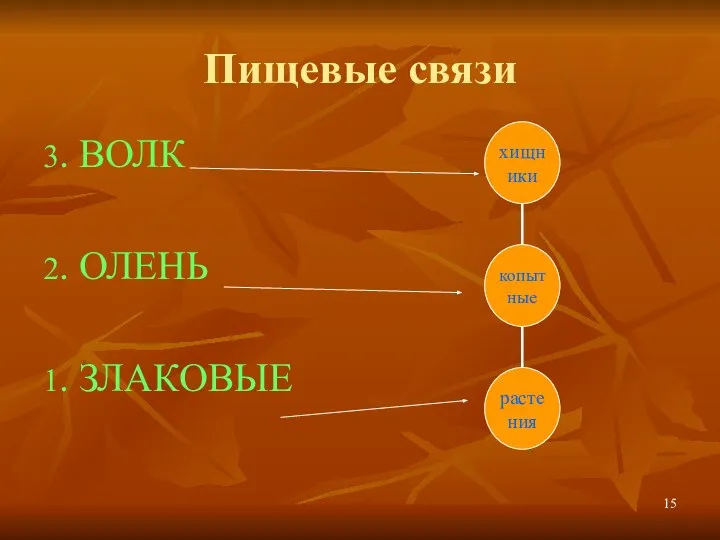 Пищевые связи 3. ВОЛК 2. ОЛЕНЬ 1. ЗЛАКОВЫЕ