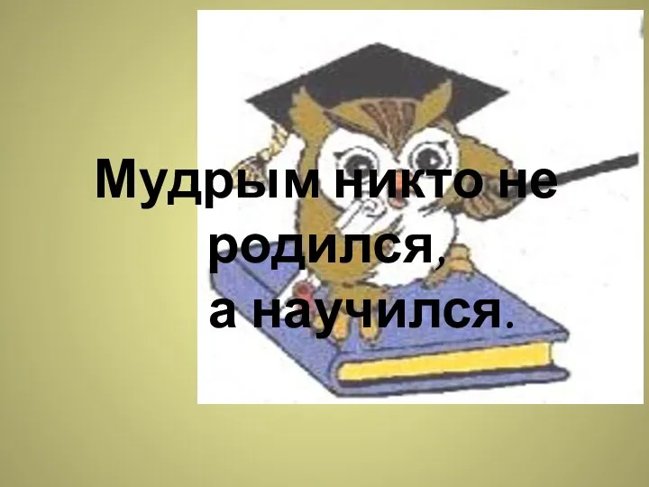 Мудрым никто не родился, а научился.