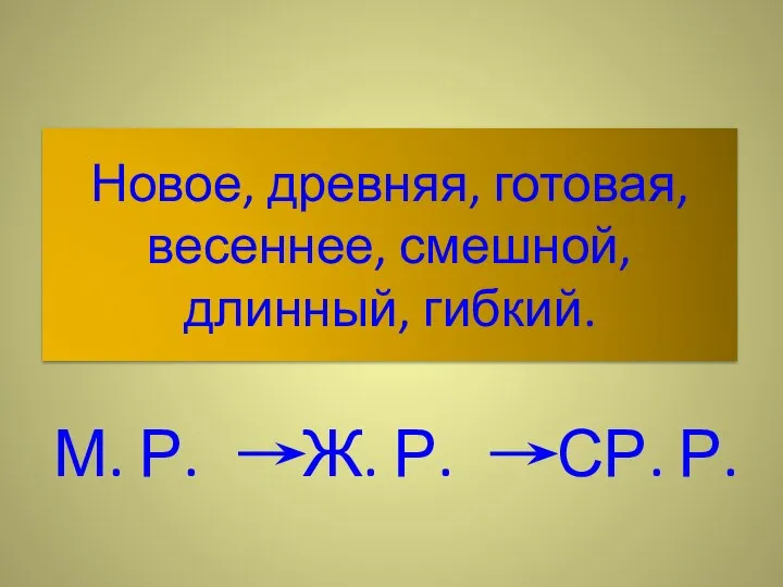 Новое, древняя, готовая, весеннее, смешной, длинный, гибкий. М. Р. Ж. Р. СР. Р.