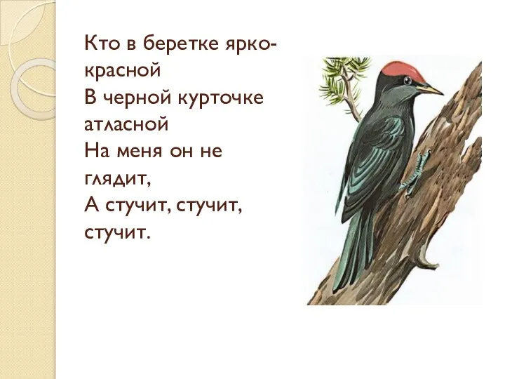 Кто в беретке ярко-красной В черной курточке атласной На меня он