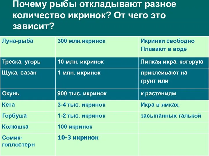 Почему рыбы откладывают разное количество икринок? От чего это зависит?