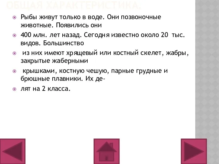 ОБЩАЯ ХАРАКТЕРИСТИКА. Рыбы живут только в воде. Они позвоночные животные. Появились