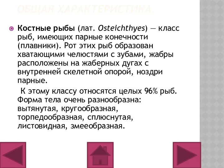 ОБЩАЯ ХАРАКТЕРИСТИКА. Костные рыбы (лат. Osteichthyes) — класс рыб, имеющих парные