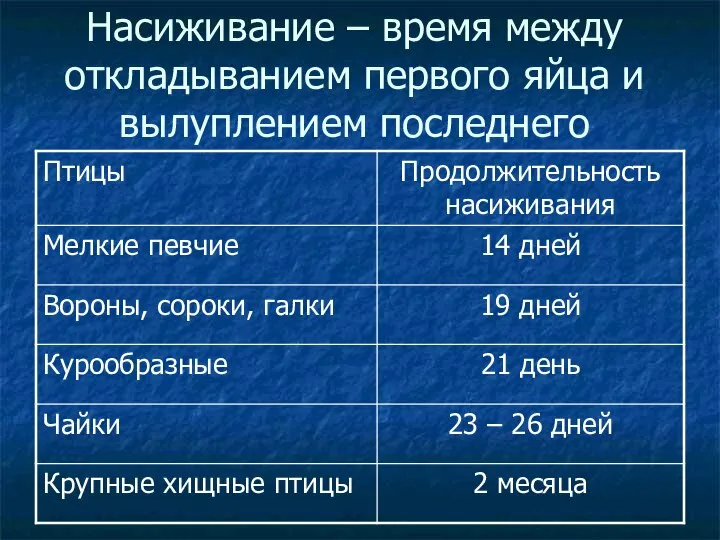 Насиживание – время между откладыванием первого яйца и вылуплением последнего