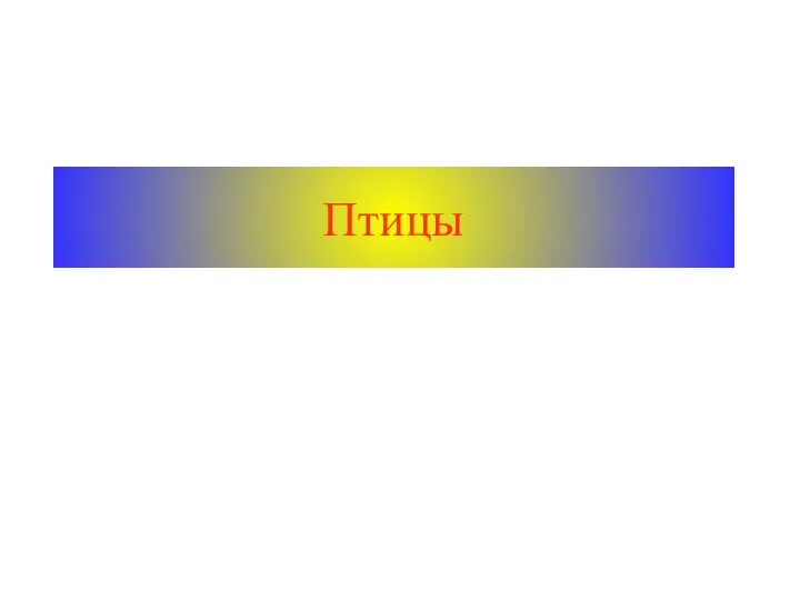 Птицы