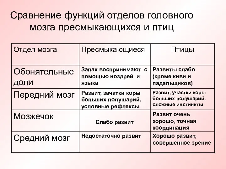 Сравнение функций отделов головного мозга пресмыкающихся и птиц Хорошо развит, совершенное