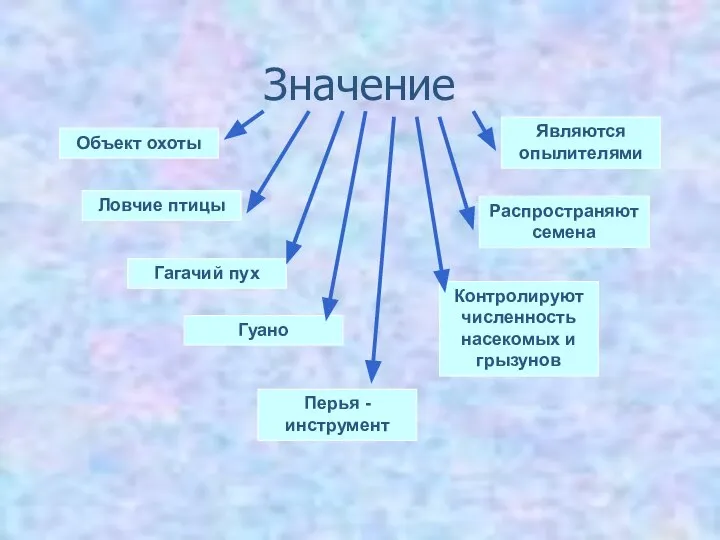 Значение Объект охоты Ловчие птицы Гагачий пух Гуано Распространяют семена Контролируют